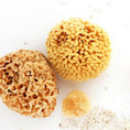 Load image into Gallery viewer, Natural Sea Sponge