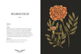 Load image into Gallery viewer, Floriography Book
