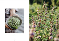 Load image into Gallery viewer, Living with Herbs