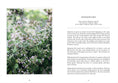 Load image into Gallery viewer, Living with Herbs