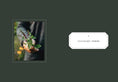 Load image into Gallery viewer, Living with Herbs