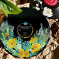 Load image into Gallery viewer, Hand Painted Vinyl Records