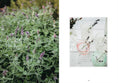 Load image into Gallery viewer, Living with Herbs