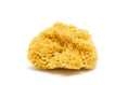 Load image into Gallery viewer, Natural Sea Sponge