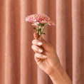 Load image into Gallery viewer, BKind Vegan Nail Polish