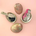 Load image into Gallery viewer, Abalone Sea Shell Smudge Stick Altar Bowl