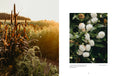 Load image into Gallery viewer, Where Flowers Bloom