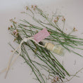 Load image into Gallery viewer, Indigo Fragrance Diffuser