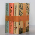 Load image into Gallery viewer, Classic Books for Girls | Collector's Edition | Hardcover