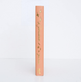 Load image into Gallery viewer, Persuasion | Austen | Collector's Edition | Hardcover

