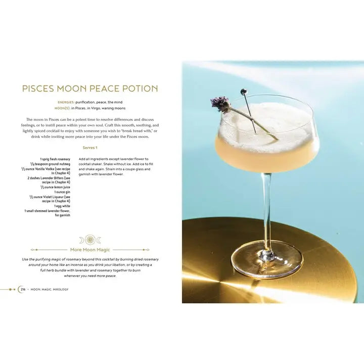 Moon, Magic, Mixology: 70 Celestial Drinks Book