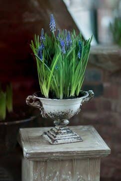 Distressed White Iron Urn