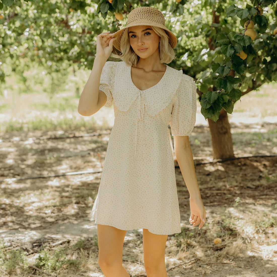 The Lyla Dress