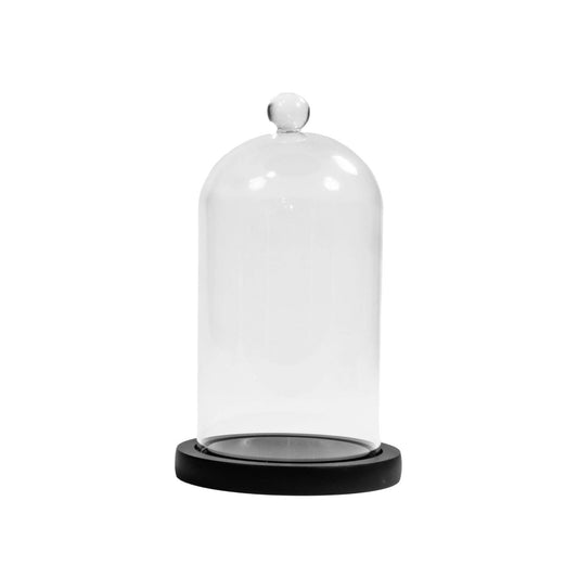 Clear Glass Cloches with Black Wood Case