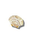 Load image into Gallery viewer, Hand-painted Seashell Claw Hair Clip
