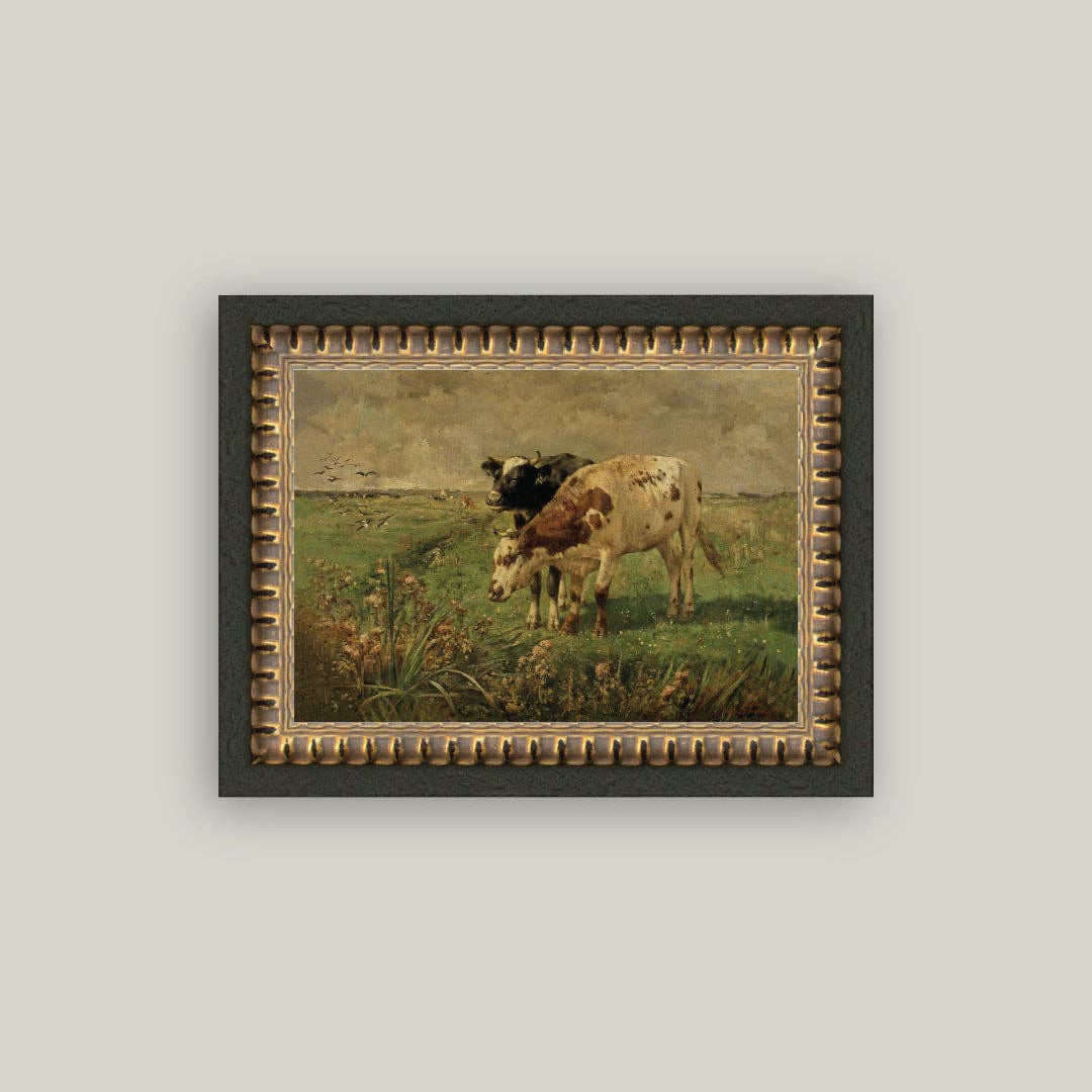 Black and Brown Cows 7 x 5