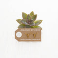 Load image into Gallery viewer, Longhorn Steer Skull Stud Earrings
