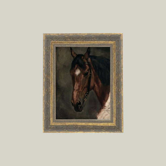 Horse Portrait Framed Antique Art - 8 x 10