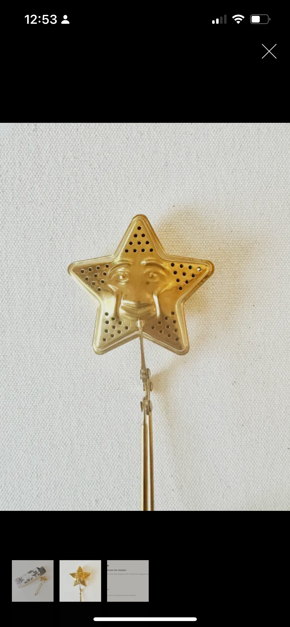 Celestial Tea Steeper