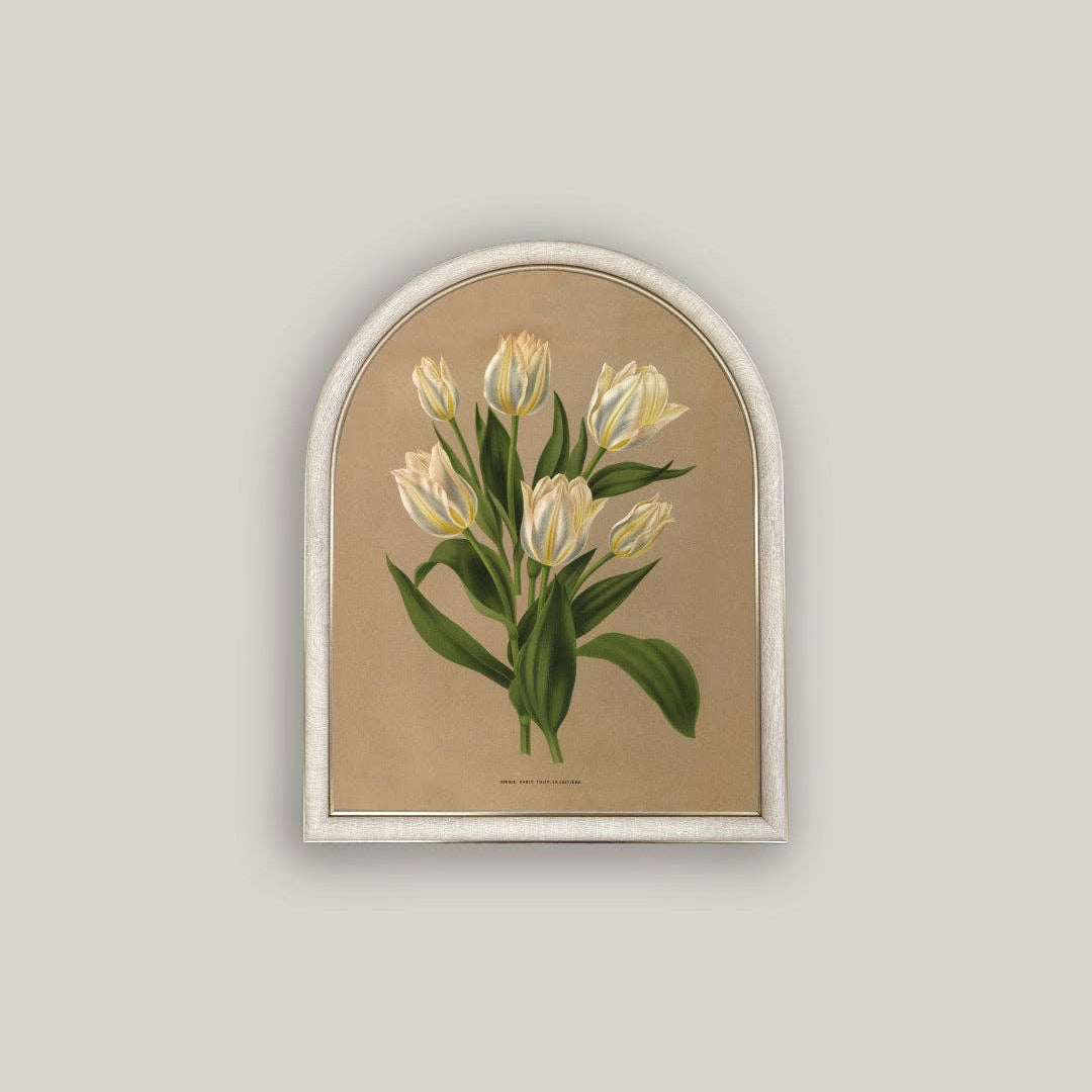 White Tulips Arch