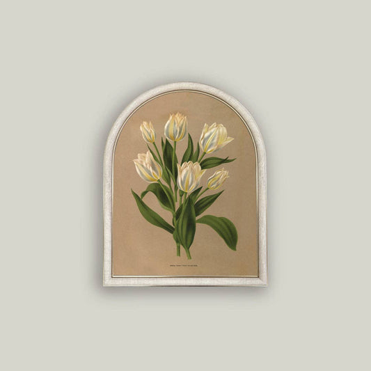 White Tulips Arch
