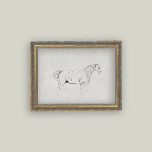 Horse Sketch Framed Antique Art