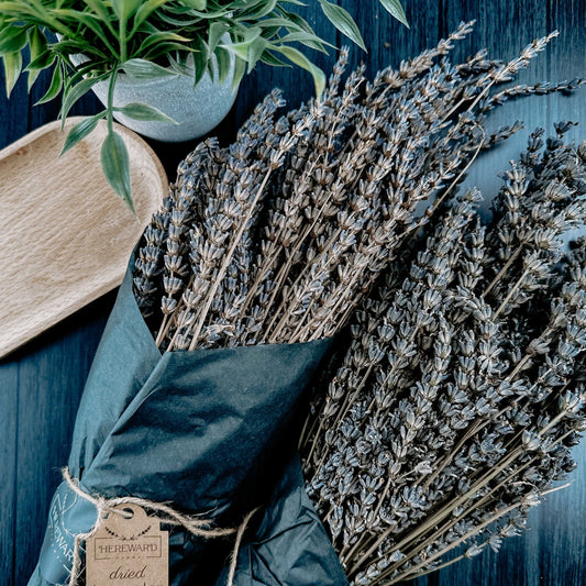 Dried French Lavender Bunches