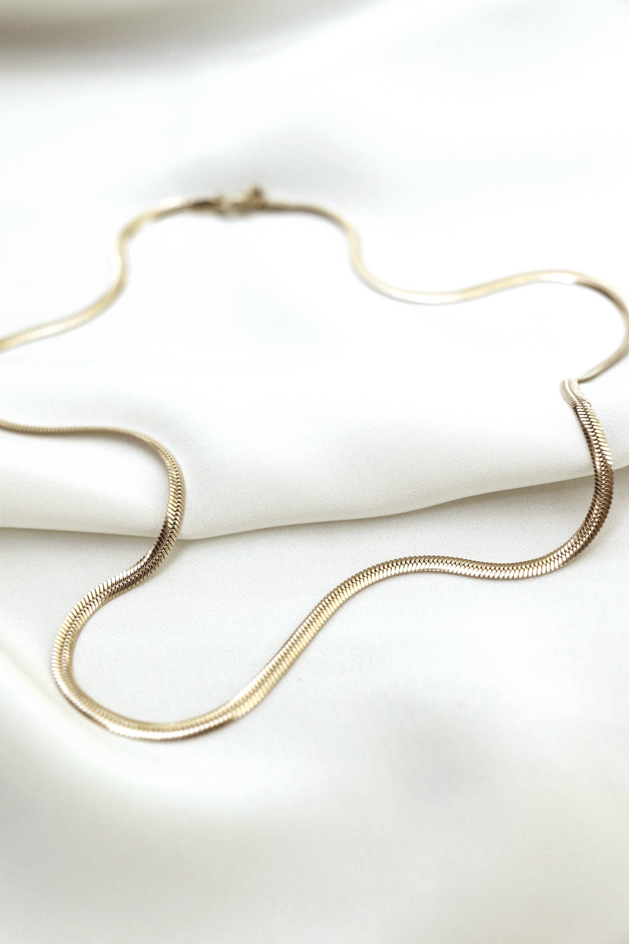 Flat Snake Chain Necklace