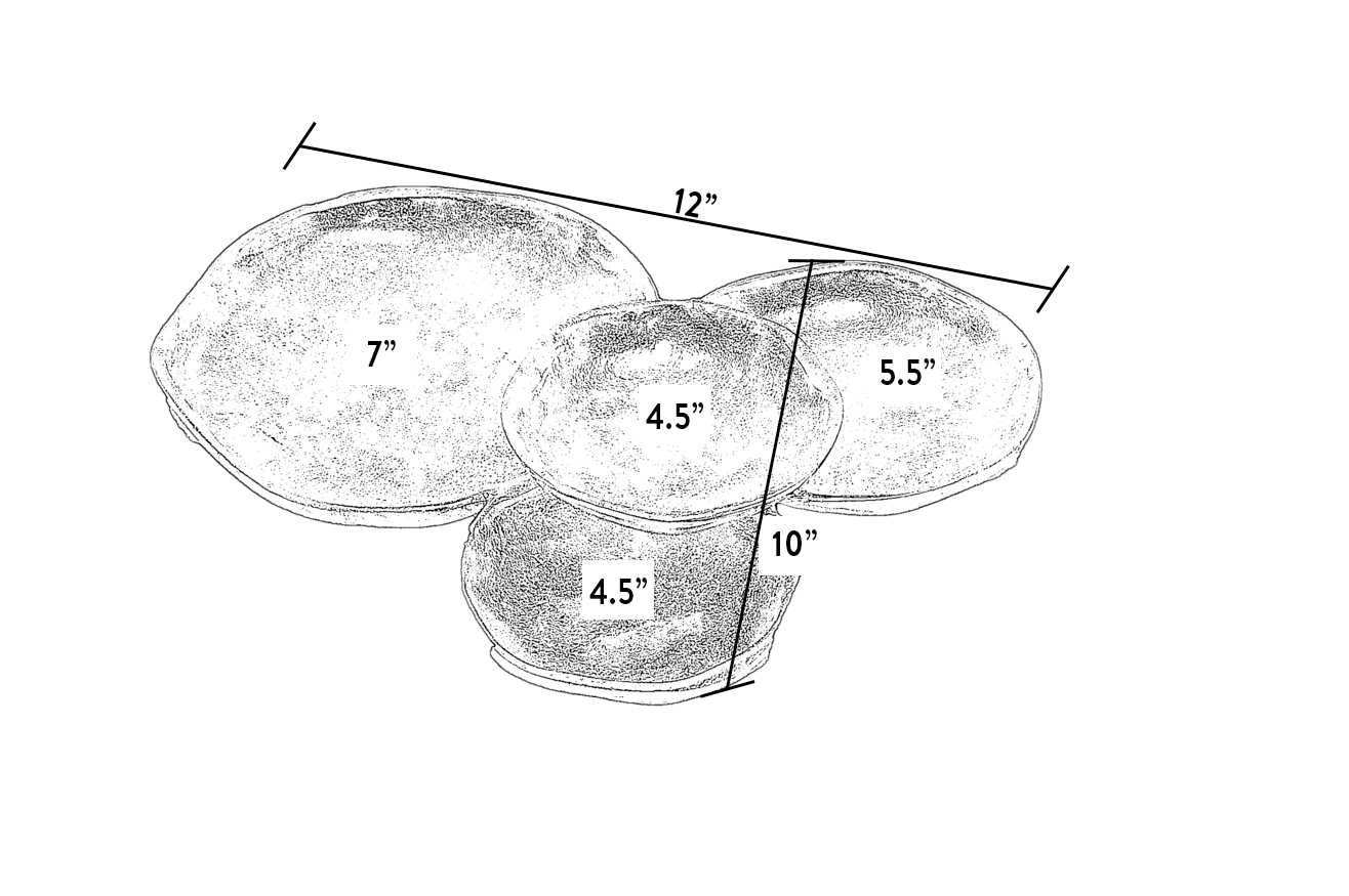 Silver Cluster Dish